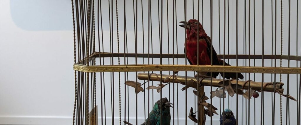 Mecanique d'Art, MuMAPS