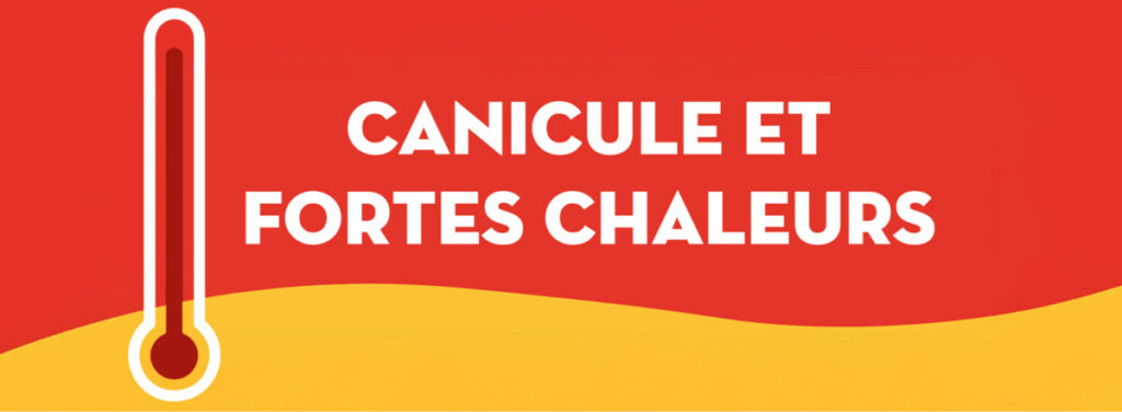 Canicule et fortes chaleur : voici quelques conseils